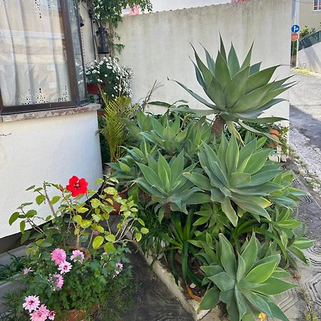 Bela Vista Apartamento Estoril Cascais エクステリア 写真