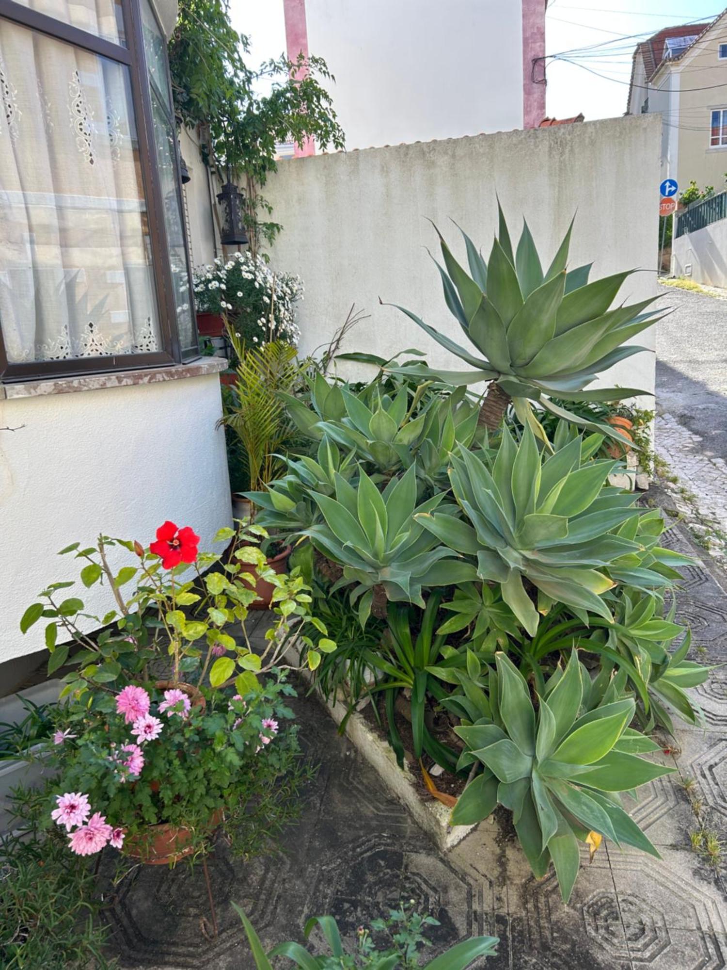 Bela Vista Apartamento Estoril Cascais エクステリア 写真